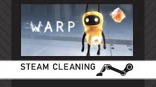 Steam Cleaning - Warp