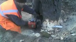 MOV 0000043