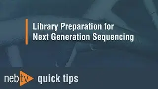 Quick Tips - Adding the lysis buffer for the PCR in the NEBNext RNA workflow