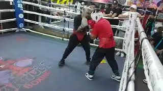 TEAM Lucky Romero La casa del boxeo con diamantito flores 
