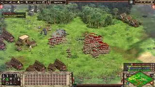 Onager 1 shots castle: Age of Empires 2