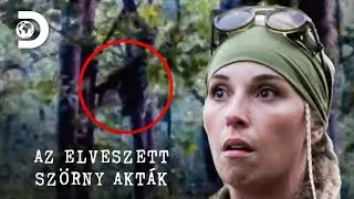 Lehet, hogy egy szárny? | Az elveszett szörny akták