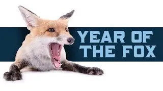 2014 is the...Year Of The Fox!