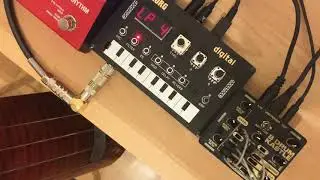 Jam in diminished scale | drum kastle | Korg NTS1| Boss RC10R