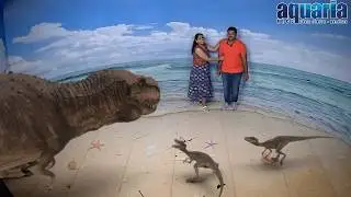 3D Illusion Show In Kuala Lumpur Aquaria, Malaysia