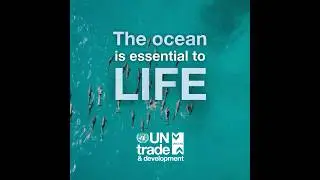 5th UN Ocean Forum | 3-5 March 2025