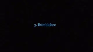 Top 5 RWBY ships