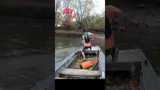 Eager Fish #bowfishing #fishing #fishinglife #outdoors