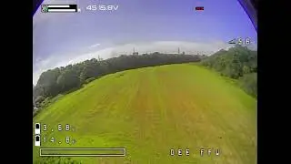 Apex