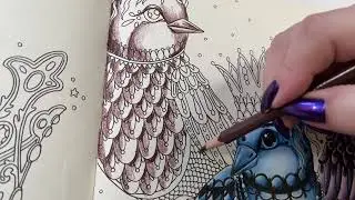Adult Coloring | Magical Dawn | Three Birds page Part 3