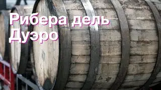 Энциклопедия вина: Рибера дель Дуэро