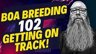 Boa Breeding 102 See if you are on track. I discuss a few observations to help you.
