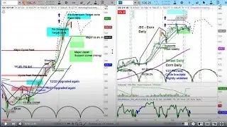 Corn (/ZC) Futures Market | Chart Review & Price Projections | Cycle & Technical Analysis
