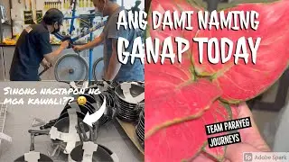 Bike upgrade + Future gardens visit + Window shopping in Ikea