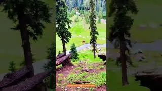 Kund Banda: A Hidden Gem in the Mountains | Serenity, Adventure & Nature