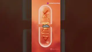 PK of Infigratinib in FGFR2-Amplified Gastric Cancer #oncology #pencis #lecture #Infigratinib #viral