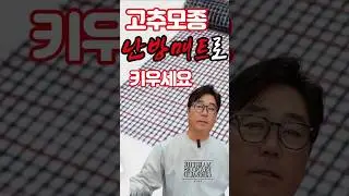 고추모종 키울때 바닥난방이 손쉬운 난방매트입니다 #고추모종 #고추종자 #고추품종추천