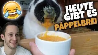Meine Kaninchen bekommen heute PÄPPELBREI 🤣 🍵 + TIPPS 💡 | Schustrich S 2.0 ⭐