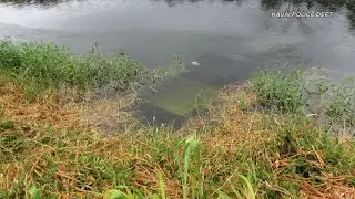 Jeep found underwater on Kauai