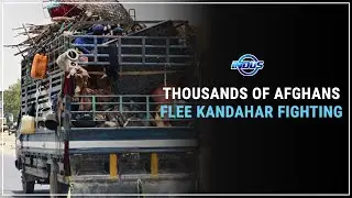Daily Top News | THOUSANDS OF AFGHANS FLEE KANDAHAR FIGHTING | Indus News