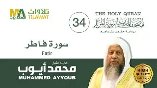 سورة فاطر - الشيخ محمد أيوب (مصحف المدينة النبوية المرتل)