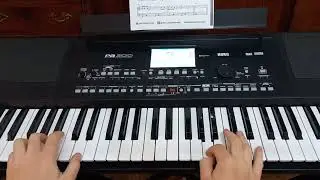 Disco 80 - Live is Life - Opus - Cover on Korg Pa300