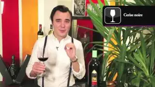 Domaine Les Roques de Cana- Sanguis Christi 2008- AOC Cahors