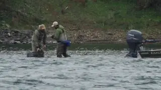 Fly Fishing