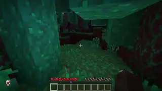 Minecraft 564
