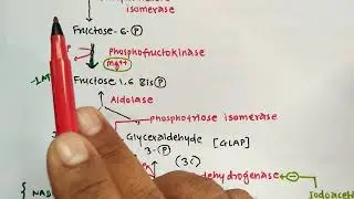 GLYCOLYSIS TRICKS | BIOCHEMISTRY | METABOLISM OF CARBOHYDRATES | PHARMACY EXAM | GPAT | NIPER | MBBS