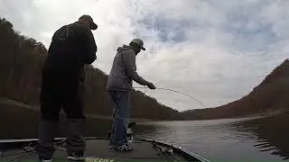 Finding &Catching Open Water Bass
