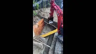 Live: Battle of the Backyard: Excavator vs Nature #83 | God of Ruin akkiro0m