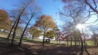 Sleeping Fox Farm's Buddy and Gary XC N at MDHT Fall Starter GoPro