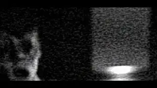 The Mandela Catalogue - Presto (vietsub)