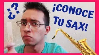 PARTES del SAXOFÓN (pt. 1) + TIPS para la CAÑA ✔️✔️