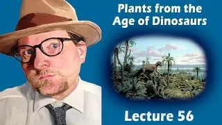 What did Plants look like during the Age of Dinosaurs?