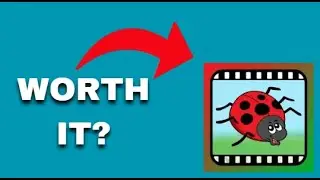 Video Touch - Bugs App Review