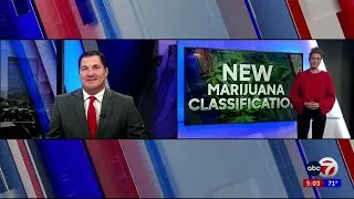 Trump signs order to fast-track marijuana reclassification