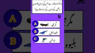 Hathi ke wazan ke barabar kis janwar ki zuban hai knowledge common sense video
