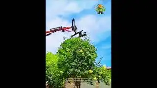Pruning Tool for Round Treetops: Good Tools and Machinery Increase Work Efficiency.