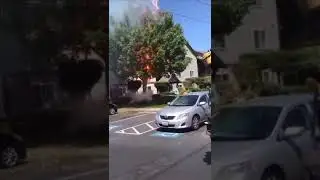 Very dangerous. This tree caught fire because its branch touched a power line