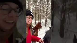 Horses Amazing Cute Very Smart The Moment The Horses With The Owner Are So Wonderful 15