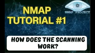 Как работает сканирование сети с NMAP | TCP Connect | UDP Scan | ARP/ICMP Sweep