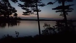 Loon calls at night