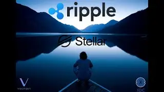 Ripple, Dubai, Stellar, Vechain и XDC!