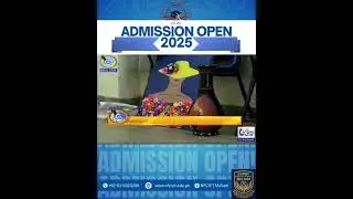 NFCIET MULTAN Head of BBA Department