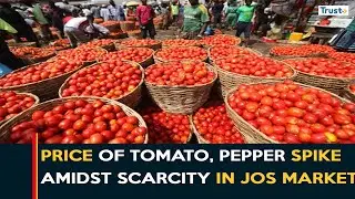 Cost Of Living: Price of Tomato, Pepper spike amidst scarcity in Jos market