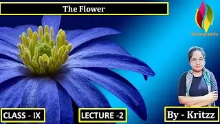 THE FLOWER PART   2