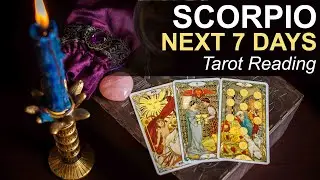 SCORPIO NEXT 7 DAYS TAROT READING 