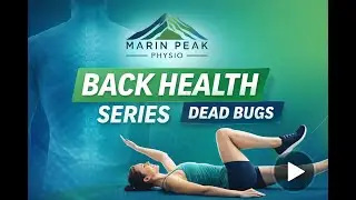 Back Health Series: Dead Bug Edition